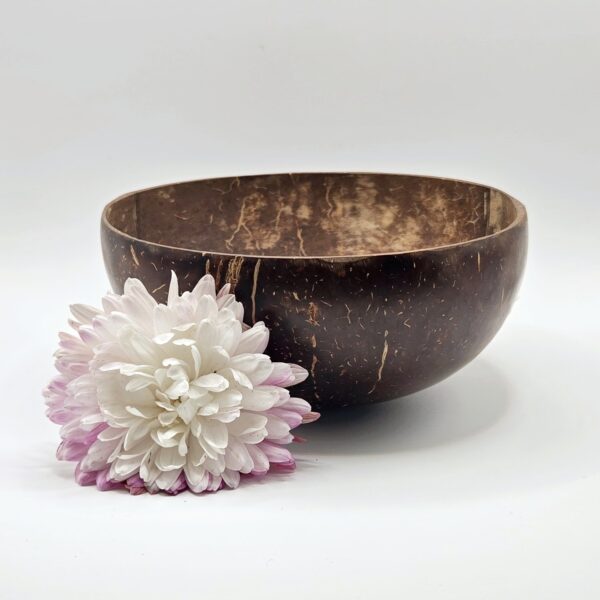 Natural Coconut Shell Bowls
