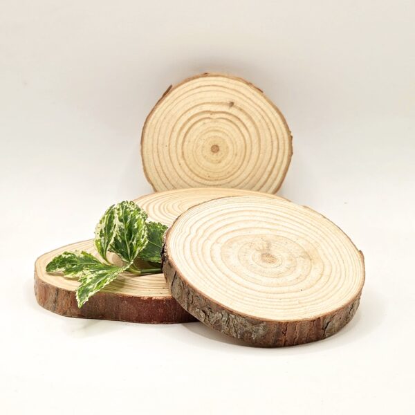 Natural Pine Wood Coasters - 5 pieces